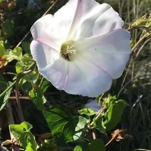 Meet your Posher, Cc